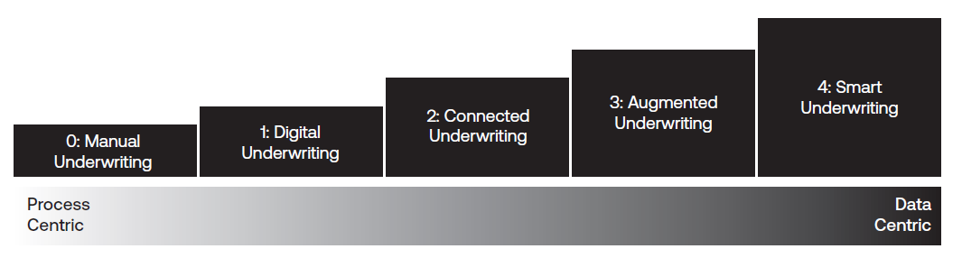 Underwriting Maturity